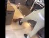 西汉姆中卫祖马虐待猫咪,被曝光后道歉:不会再发生了